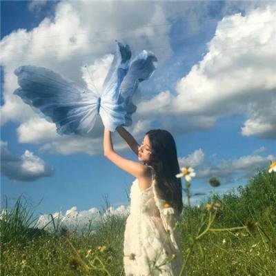 候鸟之爱