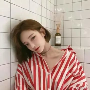科搜研之女2022
