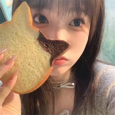 人类学入门